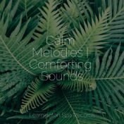 Calm Melodies | Comforting Sounds