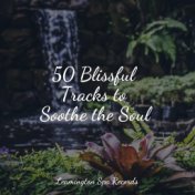 50 Blissful Tracks to Soothe the Soul