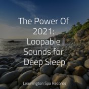 The Power Of 2021: Loopable Sounds for Deep Sleep