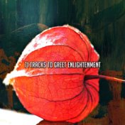 71 Tracks To Greet Enlightenment