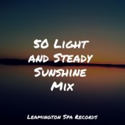 50 Light and Steady Sunshine Mix