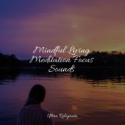 Mindful Living Meditation Focus Sounds