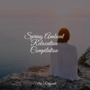 Spring Ambient Relaxation Compilation