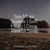 Spa Music Sounds | Soft Music | Deep, Restful Sleep