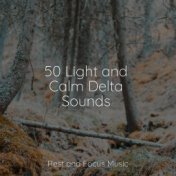 50 Light and Calm Delta Sounds