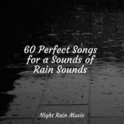 60 Perfect Songs for a Sounds of Rain Sounds
