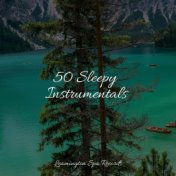 50 Sleepy Instrumentals