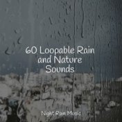 60 Loopable Rain and Nature Sounds
