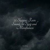 25 Sleeping Rain Sounds for Sleep and Mindfulness