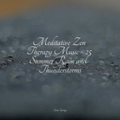Meditative Zen Therapy Music - 25 Summer Rain and Thunderstorms