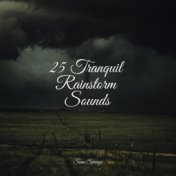 25 Tranquil Rainstorm Sounds