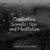 Comforting Sounds | Spa and Meditation