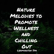 Nature Melodies to Promote Wellness and Chilling Out