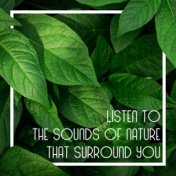 Listen to the Sounds of Nature that Surround You. Wellbeing and Happiness