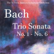 Bach Trio Sonata No. 1 - No. 6