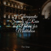 25 Therapeutic Sounds of Rain and Nature for Meditation