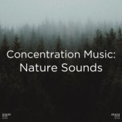 !!!" Concentration Music: Nature Sounds "!!!