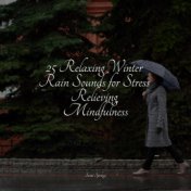 25 Relaxing Winter Rain Sounds for Stress Relieving Mindfulness