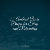 25 Ambient Rain Drops for Sleep and Relaxation