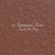 25 Instrumental Rain Tracks for Sleep