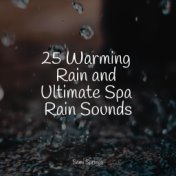 25 Warming Rain and Ultimate Spa Rain Sounds