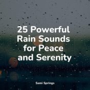 25 Powerful Rain Sounds for Peace and Serenity