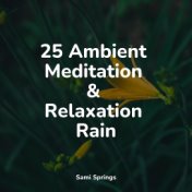 25 Ambient Meditation & Relaxation Rain