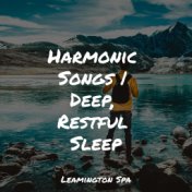 Harmonic Songs | Deep, Restful Sleep