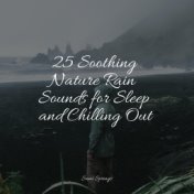 25 Soothing Nature Rain Sounds for Sleep and Chilling Out