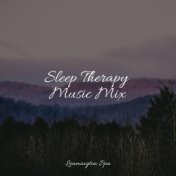 Sleep Therapy Music Mix