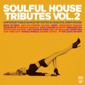 Soulful House Tributes Vol.2 (UnforgettableSongs Revisited InSoulful Deep House)