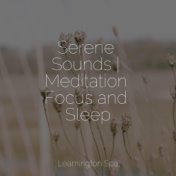 Serene Sounds | Meditation Focus and Sleep