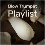 Blow Trumpet Playlist