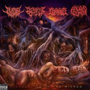 Dissolution of the Wicked (Split Version)