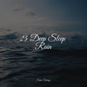 25 Deep Sleep Rain