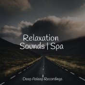 Relaxation Sounds | Spa