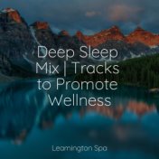 Deep Sleep Mix | Tracks to Promote Wellness