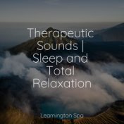 Therapeutic Sounds | Sleep and Total Relaxation