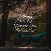 Calming Melodies | Ultimate Spa Relaxation