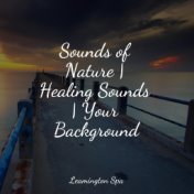 Sounds of Nature | Healing Sounds | Your Background