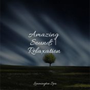 Amazing Sounds | Relaxation