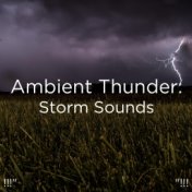 !!!" Ambient Thunder: Storm Sounds "!!!