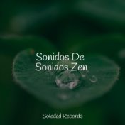 Sonidos De Sonidos Zen