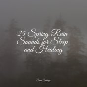 25 Spring Rain Sounds for Sleep and Healing