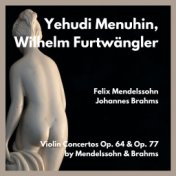 Violin concertos op. 64 & op. 77 by mendelssohn & brahms