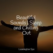 Beautiful Sounds | Sleep and Chilling Out