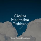 Chakra Meditation Ambience