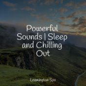 Powerful Sounds | Sleep and Chilling Out
