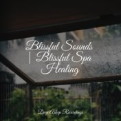 Blissful Sounds | Blissful Spa Healing