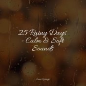 25 Rainy Days - Calm & Soft Sounds